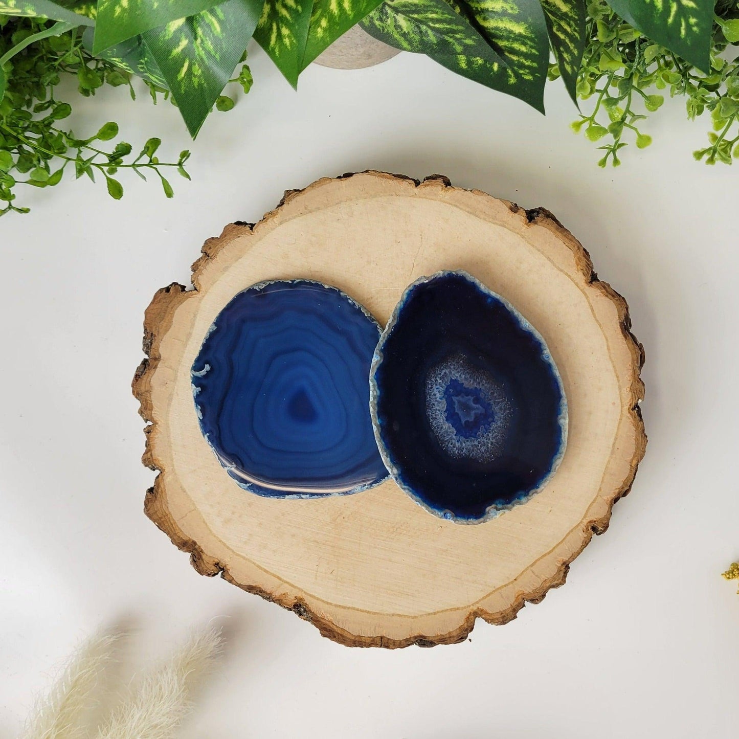 Agate Slice Coaster - True West Outdoors
