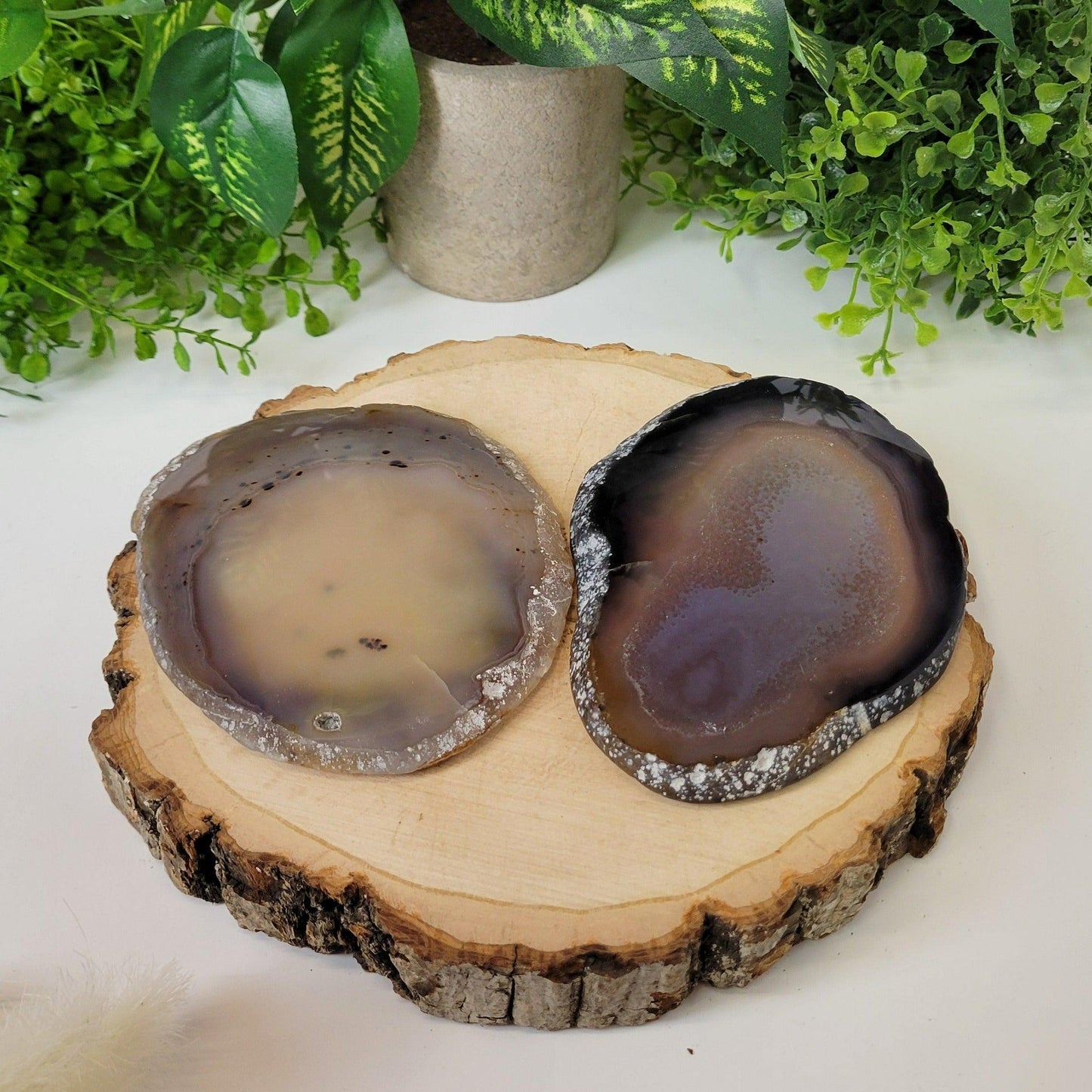 Agate Slice Coaster - True West Outdoors