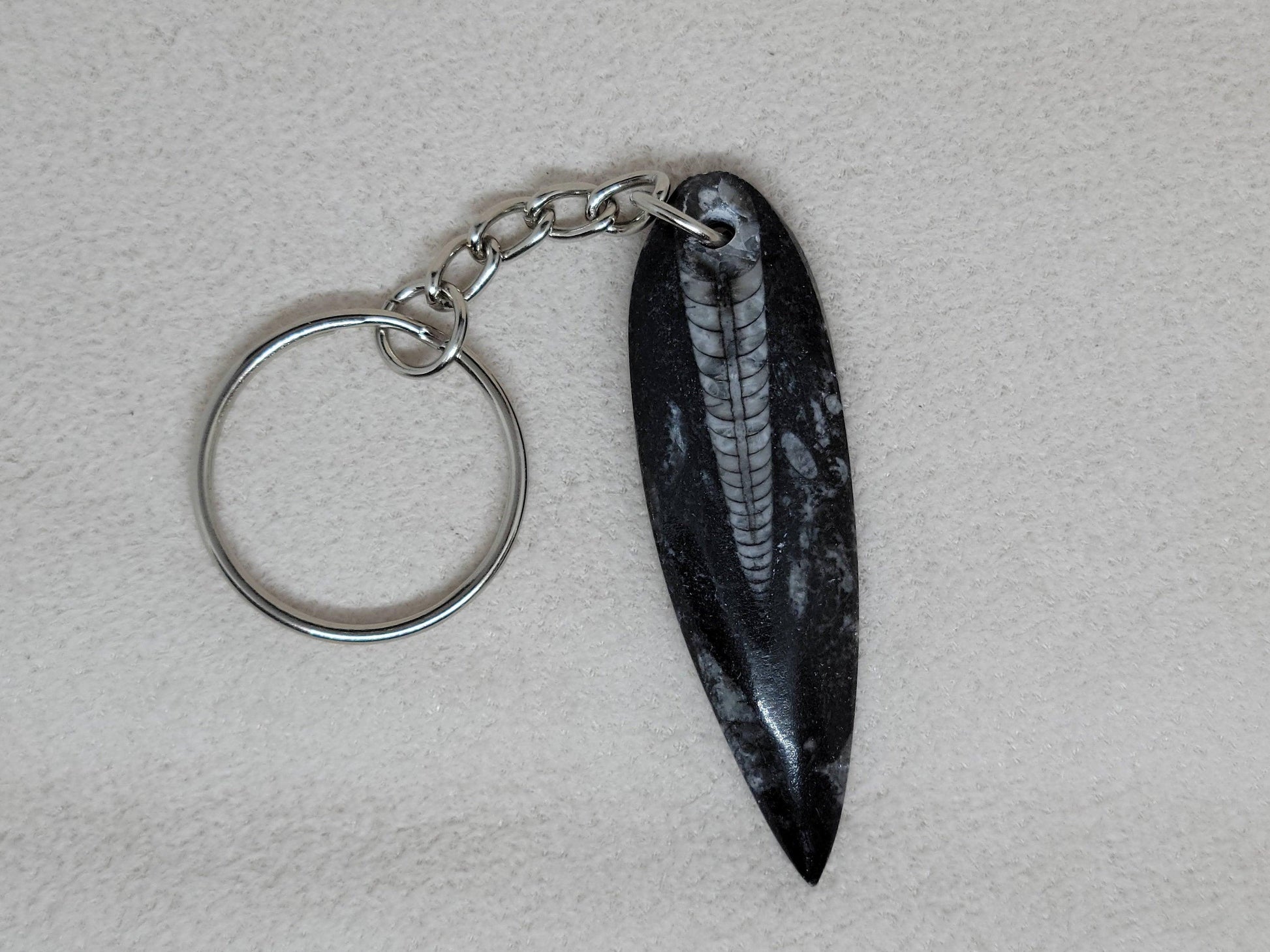 Orthoceras Fossil Keychain - True West Outdoors